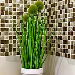 Ivy Апартаменты *