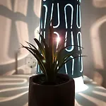 Ivy Апартаменты