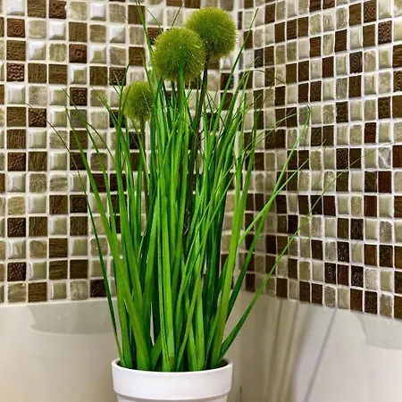 Ivy דירה *
